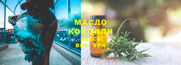 индика Баксан