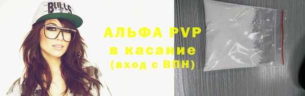 индика Баксан