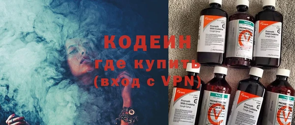 индика Баксан