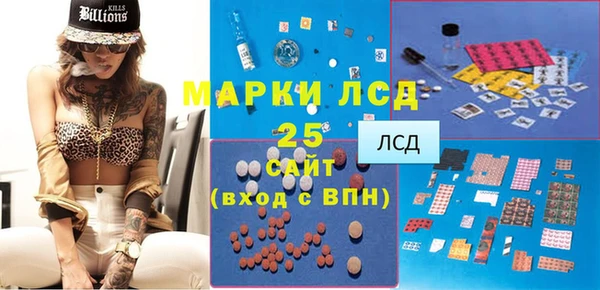 индика Баксан