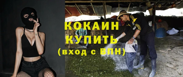 индика Баксан