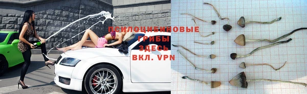 мдпв Балабаново