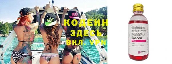 индика Баксан