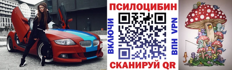 Псилоцибиновые грибы прущие грибы  ссылка на мегу   Зубцов 